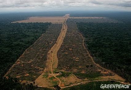 Desmatamento da Amazônia