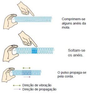 Classificação Das Ondas - Tipos De Ondas - Cola Da Web